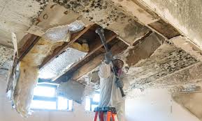 Best Environmental Consulting for Mold Prevention  in Center Point, AL